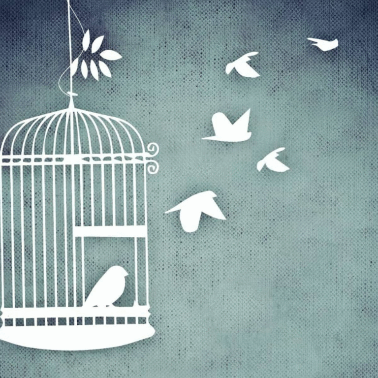 caged birds finding freedom from cage